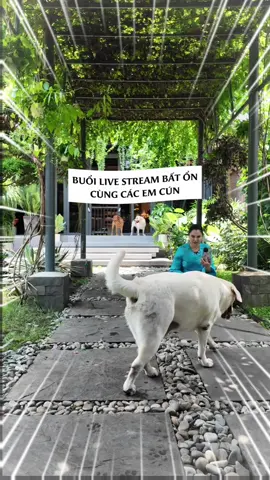 Bộ ba mê nghịch đất 😅 #linhdangfeo 