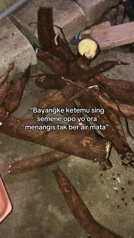 Umpomo🗿🤣#masukberanda #foryoupage #fypシ゚viral #xybca 