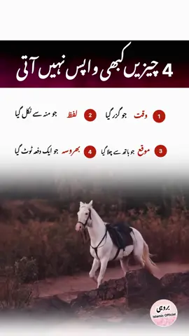 Heart touching quote on time trust words and opportunity | #trending #viral #shorts #foryou 
