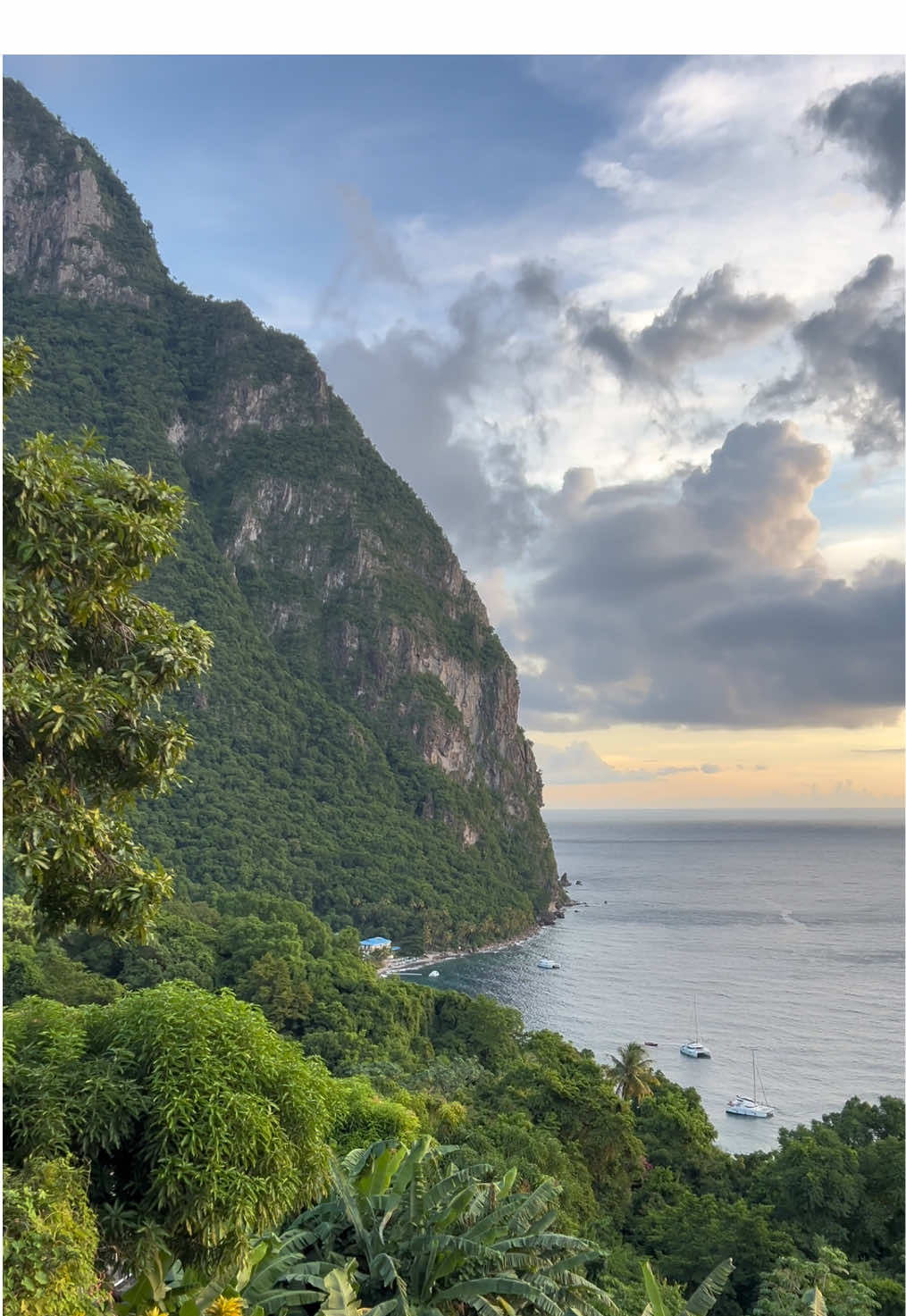 St. Lucia has my heart😍 the view from the mango tree restaurant was breathtaking. 10/10 dinner #stlucia#views#vacation#traveltok#mangotree 