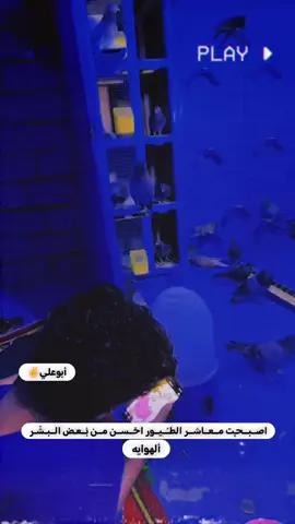 #ناصريه_كوت_حله_سماوه_اربيل_دهوك_احبكم_ #ناصريه_مصنع_الرجال🇮🇶 #مشاهير_تيك_توك #نصائح_مفيدة #متابعه_ولايك_واكسبلور_احبكم 