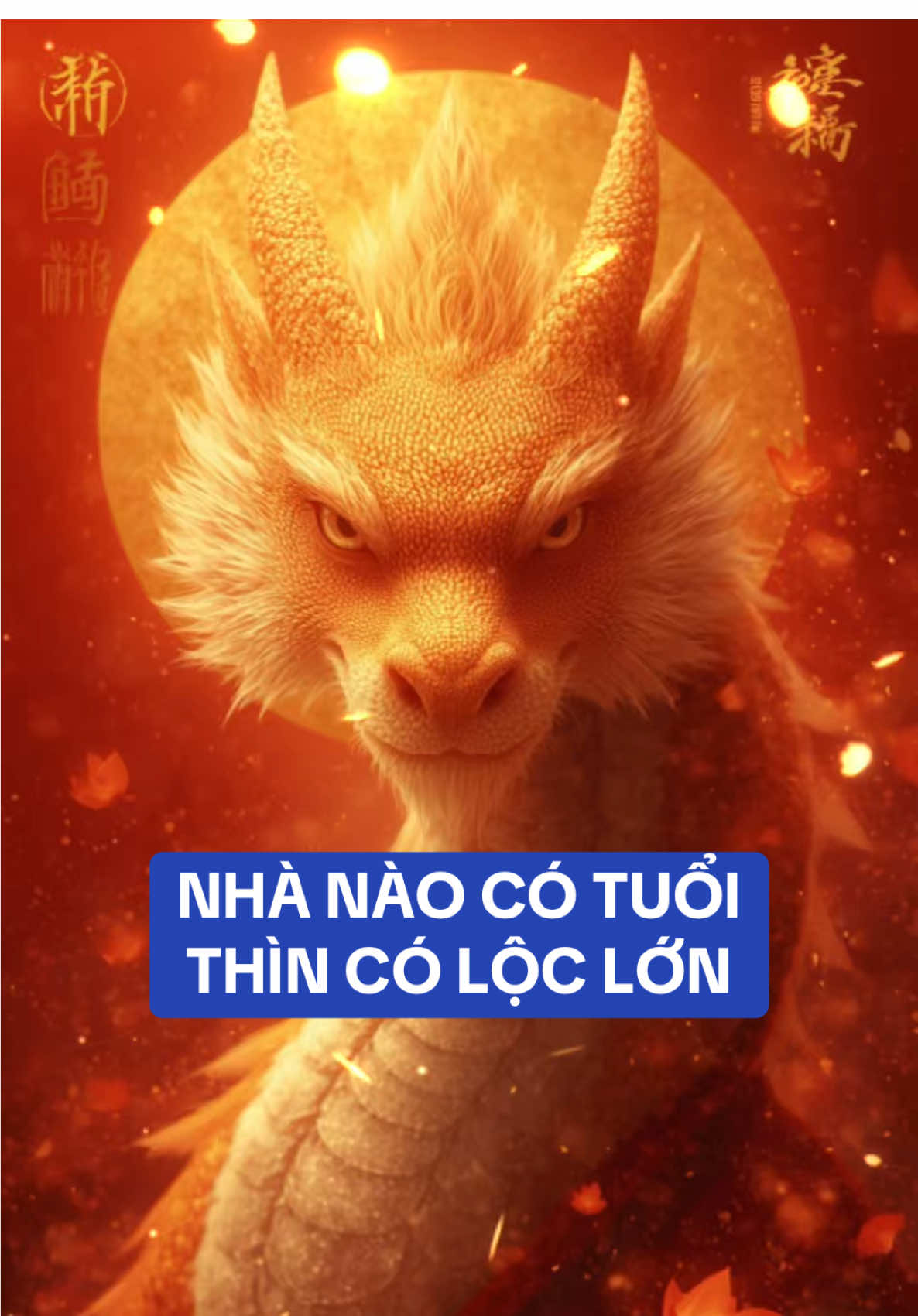 Nhà có người Tuổi Thìn ! #Tuoithin #tuvituoithin #tuvi12congiap #12congiap #tailocmayman   