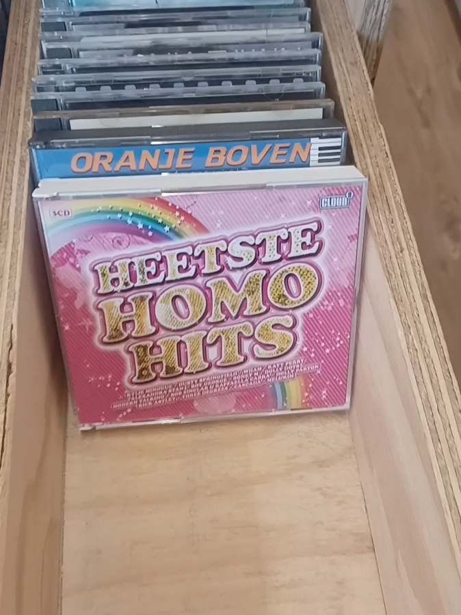 🌈⭐️Heetste Homo Hits⭐️🌈 #kringloop #thrifting #fyp #heat #thrift 