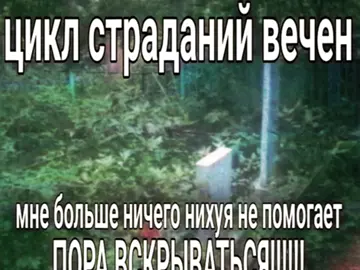 #шизопостинг #шиза #fyp #прости #щитпост #щп 