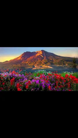 Foryou#heaven#viwe#beautiful#ilfe#wow🌹🌹🌹🌹🥰🥰🌹🌹🌹🌹🌹🌹🌹🌹🌹🌹🥰🌹🌹🌹🌹🥰🌹🌹🌹🌹🌹🌹🌹🌹🥰🌹🌹🌹🥰🌹🥰🌹🥰🌹💞🥰🌹🌹🌹🌹🌹🥰💞🌹🥰🌹🌹🌹🥰🌹🥰🥰🥰🥰🌹 