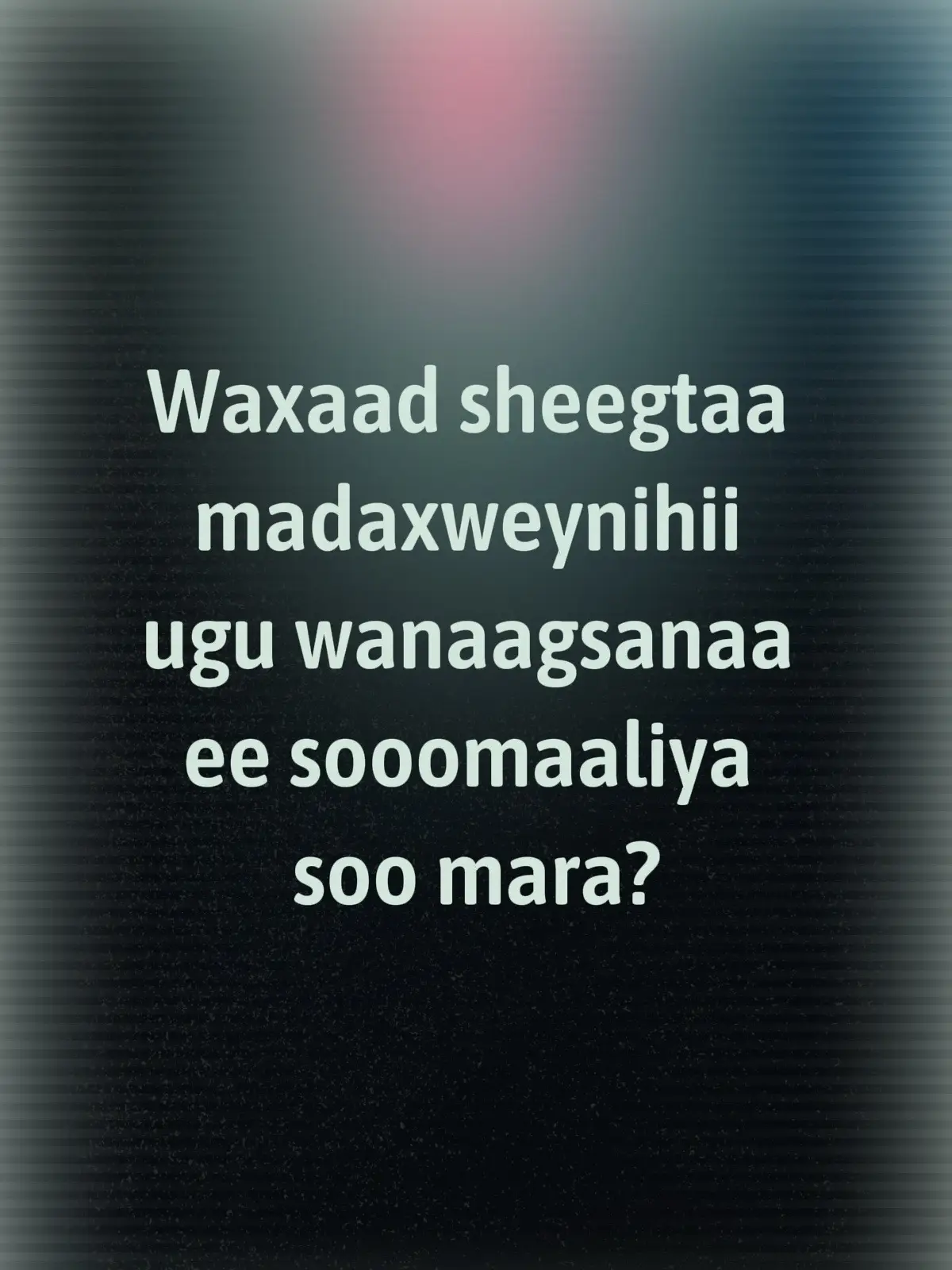 #shaaciyeshow 