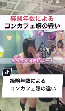 1年経過したねこちゃんによる、コンカフェ嬢の違い🐱 出演ねこ→@ふうか@ポチ  参考→@大阪コンカフェ┃ラブポイント  #ねこはじめました #コンカフェ #ガールズバー #大阪コンカフェ #コンカフェ嬢 