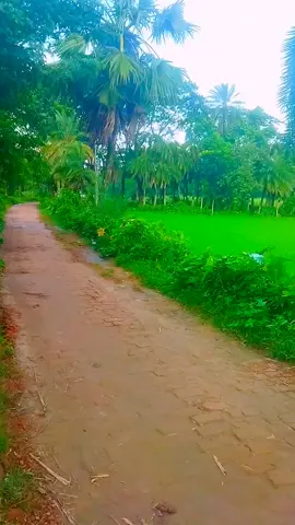 এমন জায়গায় কখনো একা আসবেন না অবশ্যই আপনার প্রিয় মানুষকে সাথে করে নিয়ে আসবেন 🤣🤣🤣🤣#