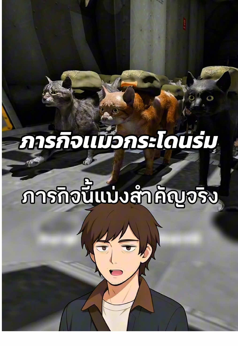 แมวกระโดดร่ม🐱ภารกิจสุดประหลาดในประวัติศาสตร์🙀 ##เรื่องเล่า##สาระความรู้##ประวัติศาสตร์##ประวัติศาสตร์น่ารู้##ฟีดดดシ