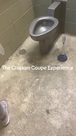 Detroit Chicken Coupe#fyp #reels #detroit #belleisle 