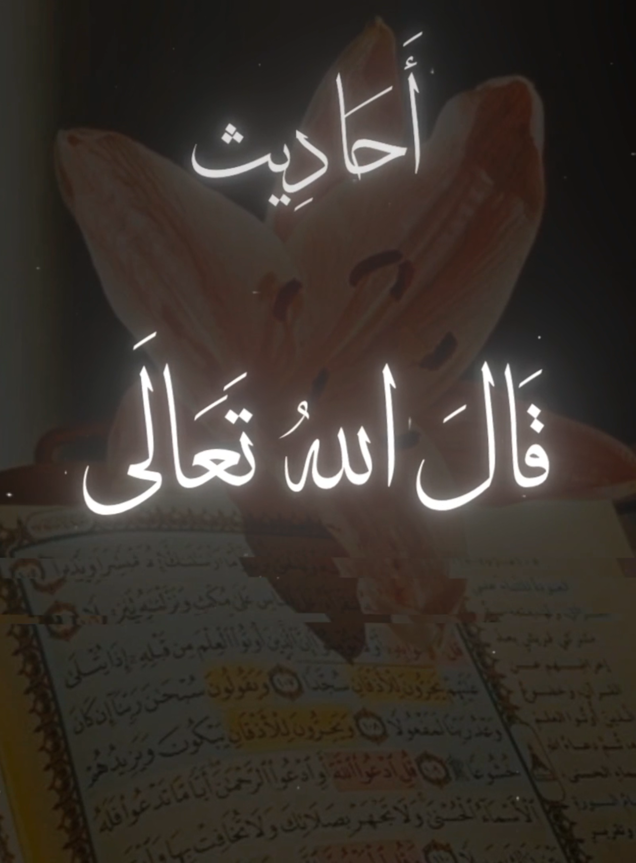 {صلاح القلوب بالقرآن}                                   #قران_كريم #حديث_رسول_الله #صحيح_البخاري_ومسلم  #حديث_نبوى #حديث_شريف 