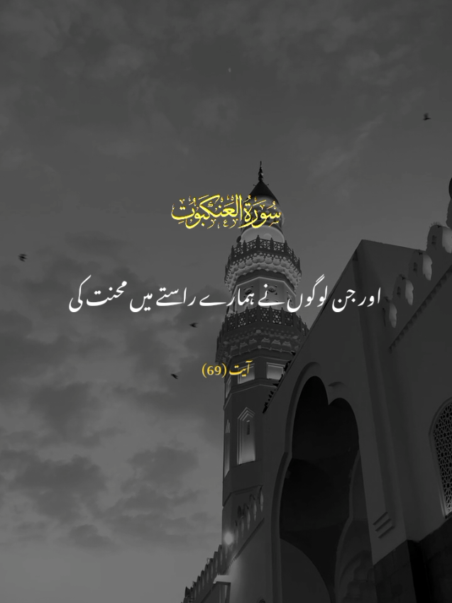 SURAH AL-ANKABUT  VERSE 69 #tarjuma #duniyaaefaanii #quran_alkarim #urdutarjuma 