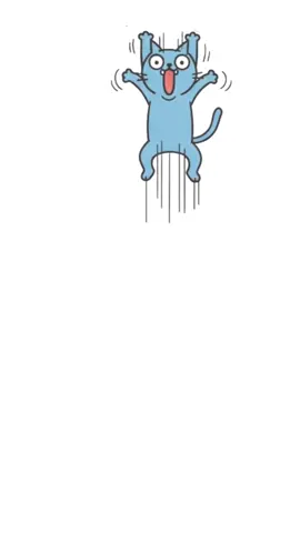 Um gato é sempre um gato.  #cat #dog #travessurapet #pet #amo 
