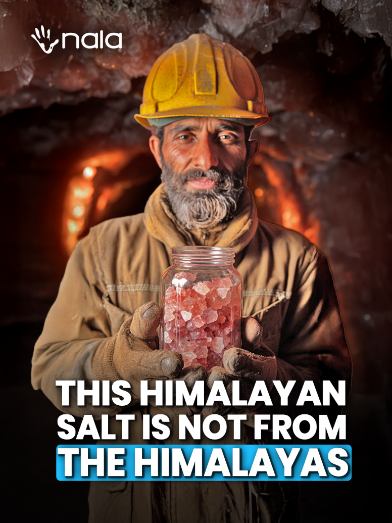 That pink “Himalayan” salt in your kitchen? It’s not from the Himalayas at all…  It’s from Pakistan’s Khewra Salt Mine, the second largest in the world! #pakistan #pakistani #himalayas #salt #fyp 