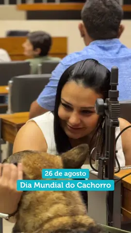 A vida é leve quando se tem amor peludo 🐾🩶