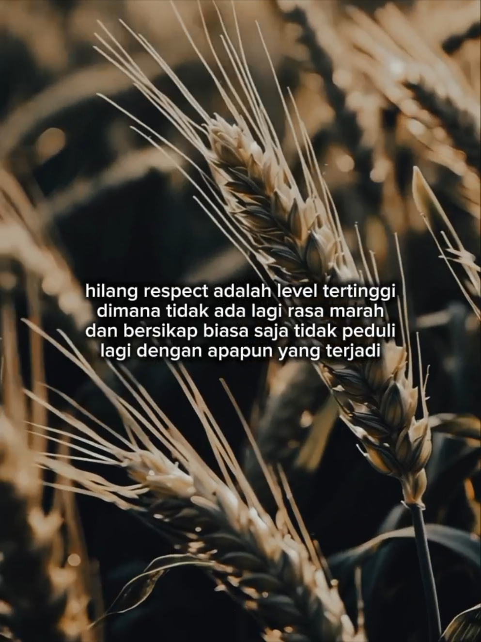 #quotes #fyp #katakata #fouryou 