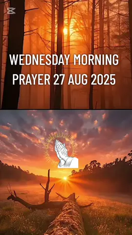 #creatorsearchinsights #christianliving #christianfaith #sgtiktok #prayer 