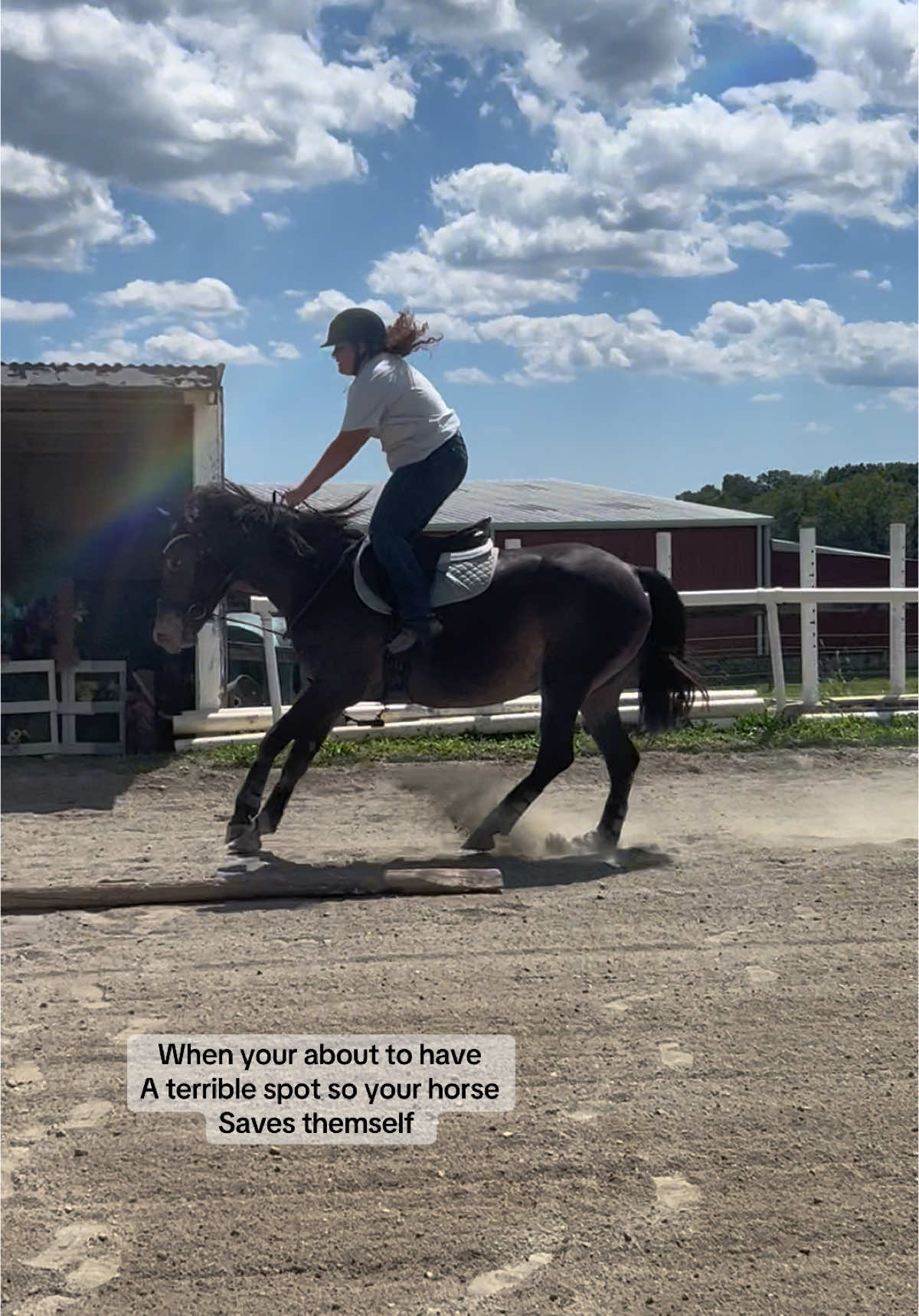 My poor horse😂😭#fyp#fyp#fyp.     #fypシ゚viral🖤tiktok#fypシ゚viral🖤tiktok#babyhorse#horses#fail#fyp 