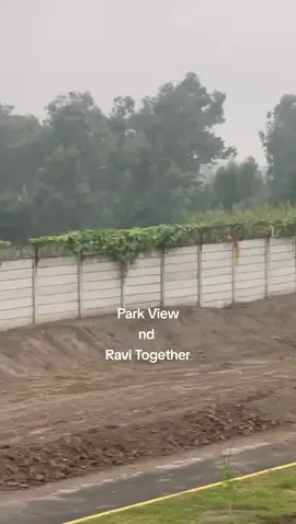 #videoviral 