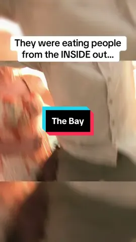 A hidden gem was requested and a hidden gem I provide. This is “The Bay”(2012). A found footage horror movie that is one of the legendary good movies within the genre. And it’s currently streaming for free over on Tubi. #tiktokgemscontest #horrortok #tiktokscenestealercontest 