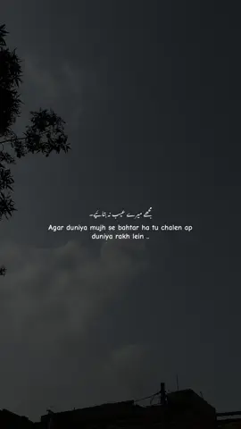 Ap duniya rakh lein 🙂#foryou #foryoupage #urdupoetry #sadpoetry #urdushayari 