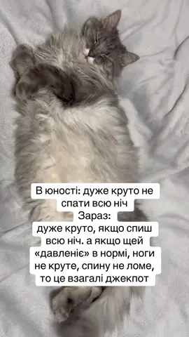 А ви спите? #безсоння #поперек #ногикрутить #мемиукраїнською #жарти 