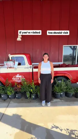 Some places feel like a warm hug every time you walk in. Farmer Joe’s, where fresh finds, friendly faces, and good vibes always feel just right. ✨