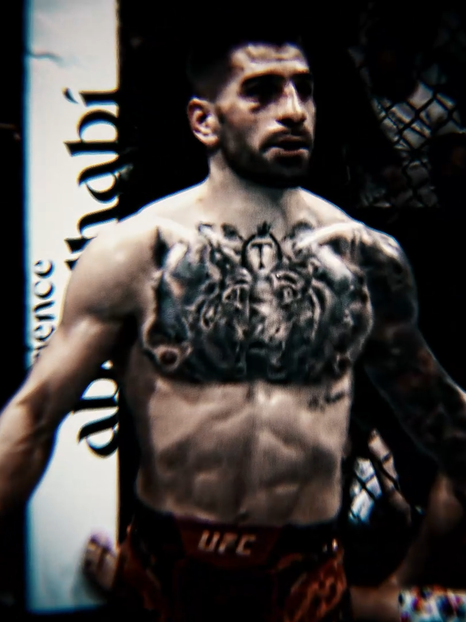 champion#UFC #viral #edit #MMA #iliatopuria