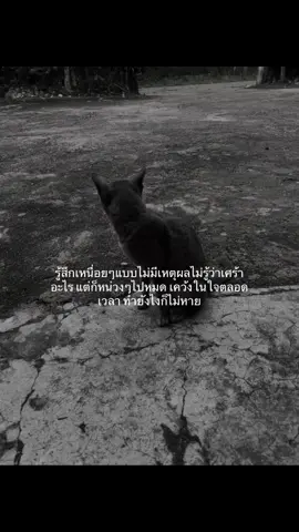 🫠#เธรด #เอาขึ้นหน้าฟีดที #ความรู้สึก #เงียบ #เห้อ 