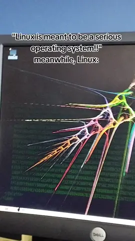 Linux is goofy af #foryouシ #fyp #tech #linux 