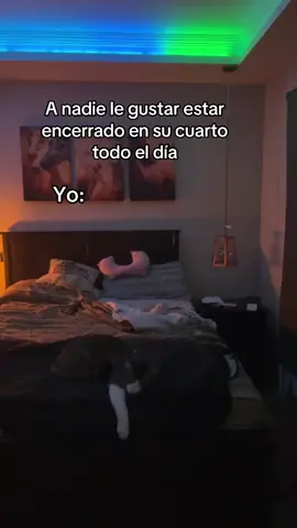 Realmente Si Soy😎 #fypシ゚viral #parati #casa #tranquila #relax 