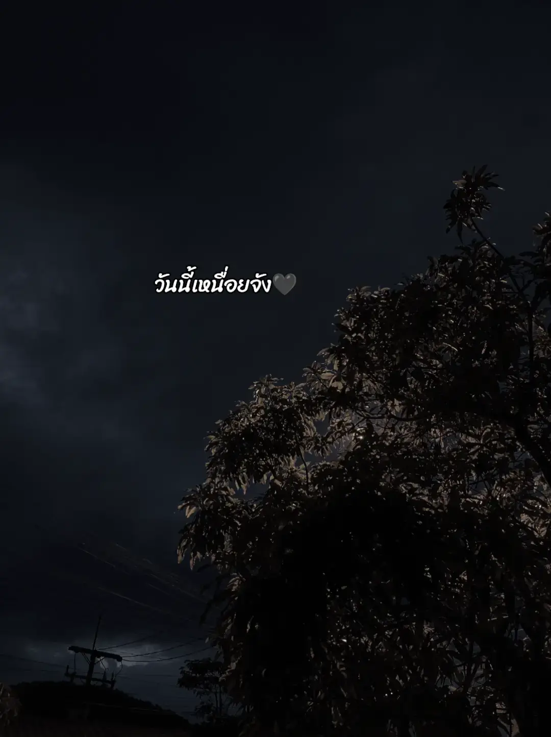 เวลาเหนื่อยมากๆ ก็อยากอยู่เฉยๆเงียบๆคนเดียว