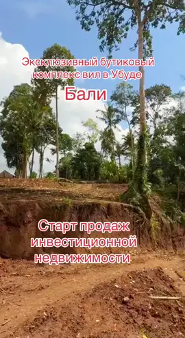 Подробная информация по запросу в лс. #Эксклюзивный бутиковый комплекс вилл и апартаментов в Убуде Balix 🔒 Лимитированный проект — всего несколько объектов с прямым видом на вечнозелёные джунгли и реку, берущую начало у священного вулкана Агунг. 📍 Убуд, Бали — сердце острова, где сочетаются энергия природы, вдохновение, искусство и спокойствие. Это место выбирают для жизни и инвестиций те, кто ищет не просто недвижимость, а гармонию, стиль и рост капитала. ⸻ 💎 Форматы:  • 🛏 Вилла 1 BDR — от 159.000 USD  • 🛏🛏 Вилла 2 BDR — от 225.000 USD  • 🛏🛏🛏 вилла 3 BDR — от 350.000 USD ⸻ 🏞 ВИДОВЫЕ ХАРАКТЕРИСТИКИ:  • Панорамный вид на каскад джунглей, меняющийся с каждым часом дня  • Прямой вид на реку, создающую живое присутствие воды и энергии  • Никакой плотной застройки — только тишина, воздух и природа вокруг  • Уникальный рельеф — террасная земля создаёт ощущение простора и приватности одновременно Почему это то, что стоит забронировать уже сейчас:  • Бутиковый формат — ограниченное предложение, каждый объект уникален  • Европейский девелопмент и контроль качества  • Доходный потенциал + личное наслаждение  • Локация вне конкуренции: центр острова, но без туристической суеты#бали #убуд#эксклюзивнаянедвижимость #инвестиции 