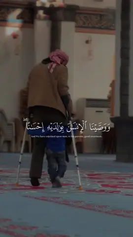 ووصينا الإنسان بوالديه إحسانا - ياسر الدوسري | اللهم ارزقنا برّ والدينا ورضاهما 🤍 #ياسر_الدوسري #قران_كريم #quran #islamic_video #explore 