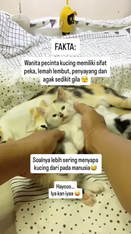 Beneran pecinta kucing ya ka🤣 #kucinglucu #kucingtiktok #kucinggemoy #ngakak #wanita 