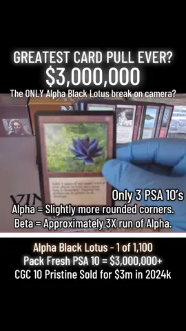 The GREATEST card pull video of all time.  1993 Magic The Gathering Alpha Black Lotus.  Pack fresh mint.  In 2000 this was a $1,250 card.  In 2025 in PSA 10 condition this is $3 million or more.  #magicthegathering #tcg #pokemon #foryou #foryoupage 