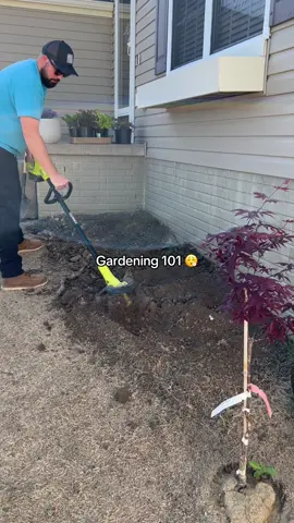 Gardening with a twist 🔋 @Lawn Radiance #ryobi #ryobitools #homedepot 
