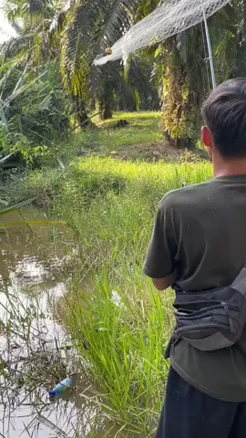 aku blum pernah liat mancing pake jaring #fyp 