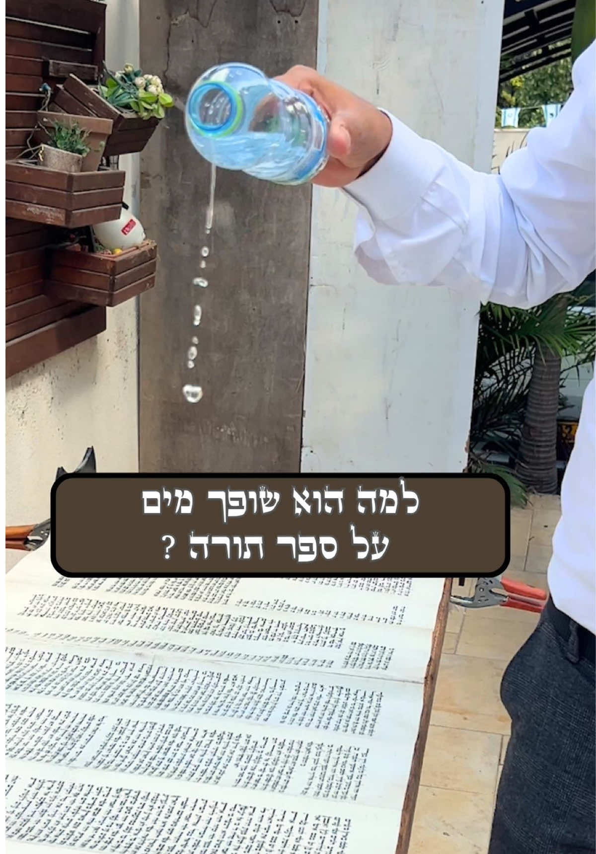 ציפוי ספר תורה #קסתהסופר #אומנות #foryou #fyp 