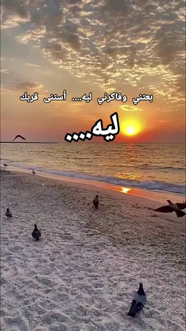 #cupcut #مساؤكم_سعادة_تغمر_قلوبكم🌹 #فلسطين_لبنان_سوريا_اليمن_مورتانياالعراق #العراق_السعوديه_الاردن_الخليج #foryou 