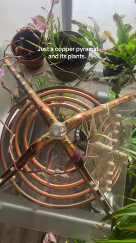 #copperpyramid #electroculture 