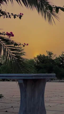 محبت ہوتی ہے تو بس ہوتی ہے، پھر وہ کم یا زیادہ نہیں ہوتی۔✨🙂🍁#views #meh_alee #fypシ゚ #support_me #unfreezemyacount 