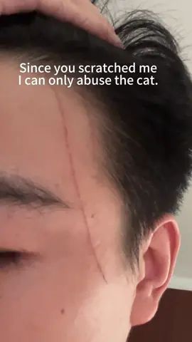 Wuwuwuuwu hurt me#fyp #cat #kitten 