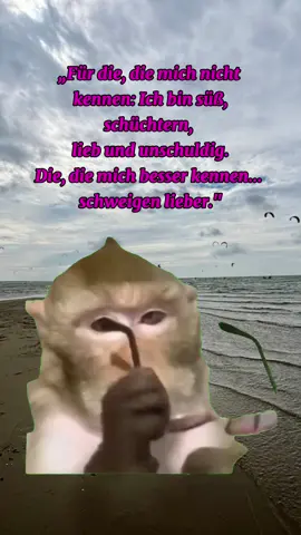 #Meme #MemeCut #CapCut #fyp #foryou 