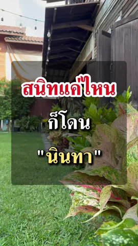 สนิทแค่ไหน