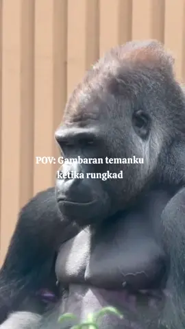 Mirip siapa yaa🤣 #fyppppppppppppppppppppppp 