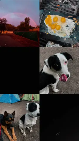 Burthday weekend was perfect #camping #kingstonnevada #Kingston #Nevada 