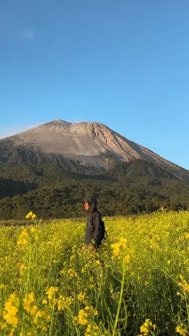 Tempat yang syahdu🍀 #pondokbantengsemeru 