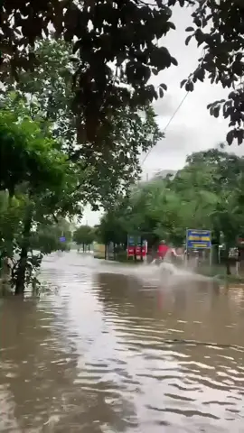 cưỡi ngựa đi làm:> #hanoi #mưa