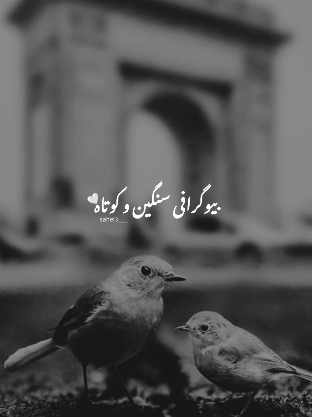 🤍💌یه جمله زیبا تو بنویس رفیق #creatorsearchinsights  #بیوگرافی   #متن_بیو   #بیو_خاص   #جملات_ناب    